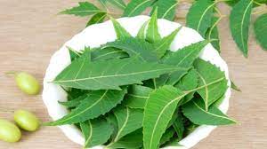 How to use neem face wash for pimples?